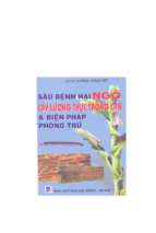 Sâu bệnh hại ngô cây lương thực trồng cạn và biện pháp phòng trừ   gs.ts.đường hồng dật