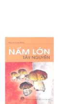 Nấm lớn tây nguyên (nxb khoa học kỹ thuật 2003)   pgs. ts. lê bá dũng, 285 trang