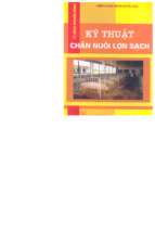 Kỹ thuật chăn nuôi lợn sạch (nxb lao động 2004)   ts. phạm sỹ tiệp, 114 trang