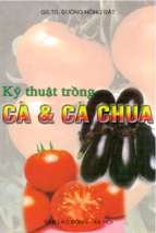 Kỹ thuật trồng cà & cà chua   gs.ts.đường hồng dật, 60 trang