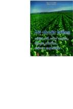 Kỹ thuật trồng một số cây màu, thực phẩm, công nghiệp   hà thị hiến, 74 trang