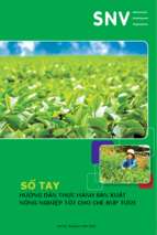Sổ tay hướng dẫn thực hành sản xuất nông nghiệp tốt cho chè búp tươi, 32 trang