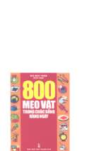 800 mẹo vặt trong cuộc sống hàng ngày (nxb thanh niên 2005)   ngô bích thuận, 384 trang