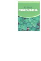 Tskn.kỹ thuật trồng cây bạc hà   chu thị thơm, 115 trang
