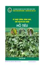 Kỹ thuật trồng, thâm canh, chế biến và bảo quản hồ tiêu   ts. tôn nữ tuấn nam, 87 trang