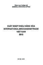 Xuất nhập khẩu hàng hóa việt nam năm 2013 (nxb hà nội 2015)   cục thống kê, 592 trang