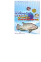 Kỹ thuật sản xuất giống và nuôi cá rô phi đạt tiêu chuẩn vệ sinh an toàn thực phẩm (nxb nông nghiệp 2004)   hội nghề cá, 70 trang