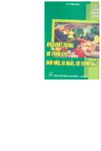 Kỹ thuật trồng và chăm sóc dưa hấu, bí ngồi, cà chua, ngô (nxb lao động 2005)   ks. hoàng minh, 67 trang