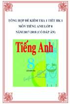 Tổng hợp đề kiểm tra 1 tiết HK 1 môn Tiếng Anh lớp 8 năm 2017-2018 có đáp án