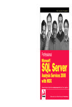 Wrox_professional_microsoft_sql_server_analysis_services_2008_with_mdx_mar_2009_2464