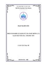 Phân tích hiệu quả kinh tế của nghề trồng lúa tại huyện phú hòa, tỉnh phú yên