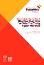 Báo cáo tuân thủ lần thứ 9 báo cáo tổng hợp về tuân thủ trong ngành may mặc