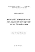 Phòng ngừa tội phạm do người chưa thành niên thực hiện trên địa bàn tỉnh quảng ninh (luận văn thạc sĩ luật học)