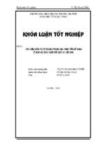 Các biện pháp tự vệ trong thương mại quốc tế  thực tiễn sử dụng ở một số nước trên thế giới và việt nam