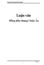 Tiểu luận đồng tiền chung châu âu