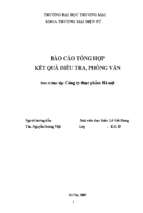 Báo cáo tổng hợp kết quả điều tra, phỏng vấn đơn vị thực tập công ty thực phẩm hà nội