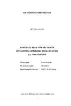 Nghiên cứu bệnh đốm nâu do nấm phyllosticta citriasiana trên cây có múi tại tỉnh hòa bình