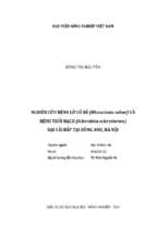 Nghiên cứu bệnh lở cổ rễ (rhizoctonia solani) và bệnh thối hạch (sclerotinia sclerotiorum) hại cải bắp tại đông anh, hà nội