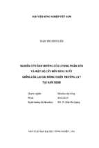 Nghiên cứu ảnh hưởng của lượng phân bón và mật độ cấy đến năng suất giống lúa lai hai dòng thiên trường 217 tại nam định