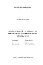 Tình hình sản xuất, tiêu thụ và kỹ thuật bón phân cho cây chùm ngây (moringa oleifera l.) trên địa bàn hà nội