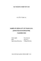 Nghiên cứu bệnh loét cây thanh long (neoscytalidium dimidiatum) tại quảng ninh