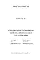 So sánh tập đoàn giống ngô trồng bằng bầu cải tiến trong điều kiện vụ đông 2015 vùng chương mỹ  hà nội