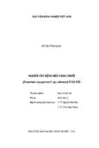 Nghiên cứu bệnh héo vàng chuối (fusarium oxysporum f. sp. cubense) ở hà nội