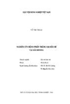 Nghiên cứu bệnh phấn trắng hại bầu bí tại hải dương