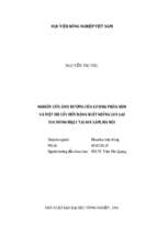 Nghiên cứu ảnh hưởng của lượng phân bón và mật độ cấy đến năng suất giống lúa lai hai dòng hq21 tại gia lâm, hà nội