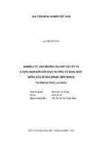 Nghiên cứu ảnh hưởng của mật độ cấy và lượng đạm bón đến sinh trưởng và năng suất giống lúa tẻ râu (khẩu chắp hang) tại phong thổ, lai châu