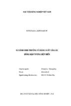 So sánh sinh trưởng và năng suất của các dòng đậu tương đột biến