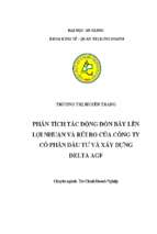 Phân tích tác động của đòn bẩy lên lợi nhuận và rủi ro của công ty cổ phần đầu tư và xây dựng delta agf