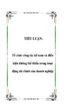 Tiểu luận Tổ chức công tác kế toán và điều kiện không thể thiếu trong hoạt động tài chính của doanh nghiệp