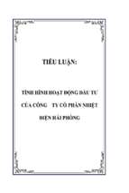 Đề tài Tình hình hoạt động đầu tư của công ty cổ phần nhiệt điện Hải Phòng