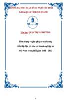 Thực trạng và giải pháp E - Marketing (tiếp thị điện tử) cho các doanh nghiệp tại Việt Nam trong thời gian 2008 – 2012