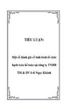 Tiểu luận Một số đánh giá về tình hình tổ chức hạch toán kế toán tại công ty TNHH thương mại và dịch vụ ô tô Ngọc Khánh