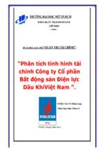 Phân tích tình hình tài chính công ty cổ phần bất động sản điện lực dầu khí Việt Nam