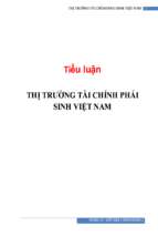 Tiểu luận Thị trường tài chính phái sinh Việt Nam