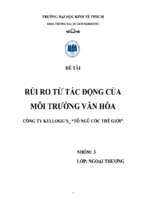 Đề tài Rủi ro từ tác động của môi trường văn hóa