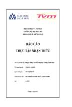 Báo cáo Thực tập nhận thức tại công ty TNHH thương mại - Dịch vụ và may mặc Trương Thanh Minh