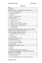 Đề tài Phân tích hiệu quả sử dụng vốn của công ty TNHH thương mại sản xuất Quang Vinh và Vinh Phượng