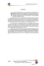 Đề tài Phân tích môi trường Nam Phi phương thức kinh doanh quốc tế một sản phẩm Việt Nam sang Nam Phi