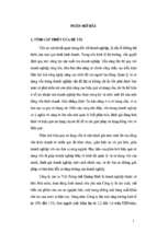 Luận văn Phân tích hiệu quả sử dụng vốn tại công ty cao su Việt Trung tỉnh Quảng Bình