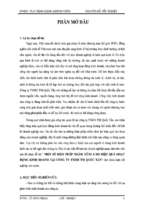 Khóa luận Một số biện pháp nhằm nâng cao hiệu quả hoạt động kinh doanh tại công ty TNHH thương mại Quốc Tấn