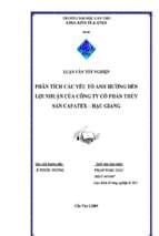 Phân tích các yếu tố ảnh hưởng đến lợi nhuận của công ty cổ phần thủy sản cafatex – Hậu Giang