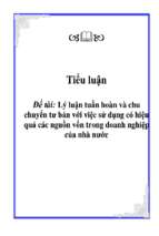Lý luận tuần hoàn và chu chuyển tư bản với việc sử dụng có hiệu quả các nguồn vốn trong doanh nghiệp của nhà nước