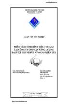 Luận văn Phân tích tình hình tiêu thụ gas tại công ty cổ phần năng lượng Đại Việt chi nhánh VINAGAS miền Tây
