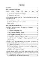 Đề tài Tạo động lực lao động cho người lao động tại công ty cổ phần phát triển quốc tế Nam Việt: Thực trạng và giải pháp