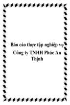 Tình hình hoạt động của công ty TNHH Phúc An Thịnh