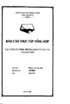 Báo cáo Thực tập tổng hợp tại công ty TNHH thương mại in và quảng cáo Sao Việt